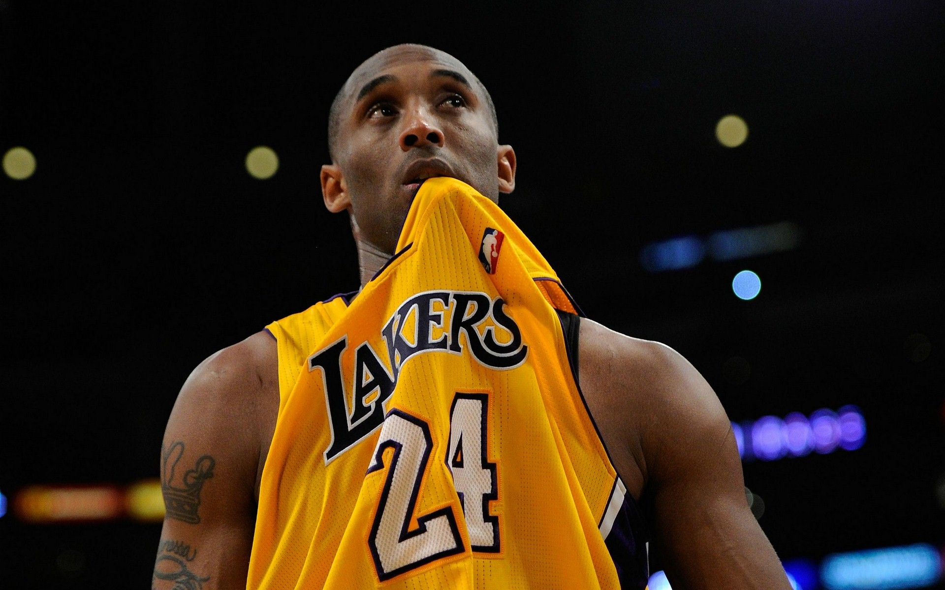 席不仅失去 席不仅失去